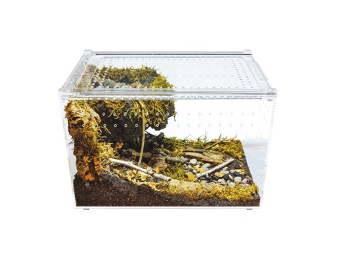 Herpcult acrylic reptile - herpcult,