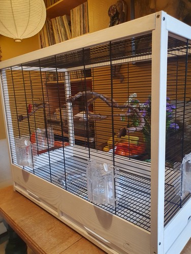 Ferplast large bird - cage, for