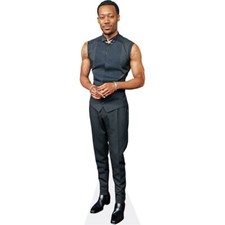 Tyler James Williams (Vest) Mini Size Cutout
