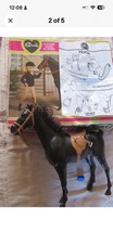 VINTAGE 1970'S PEDIGREE SINDY