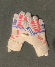 Professional Goalkeeper Gloves