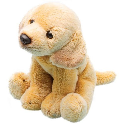 Yomiko sitting yellow labrador - yomiko,