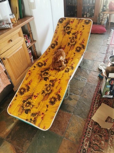 Vintage sun lounger garden - sun,