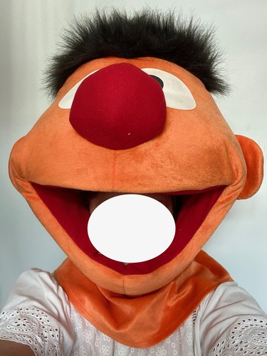 Adult ernie mascot fancy - ernie,