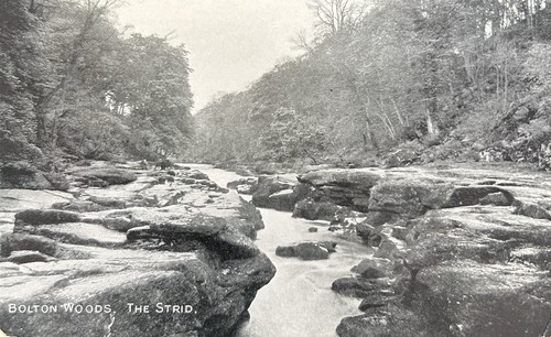Bolton woods shipley - woods,