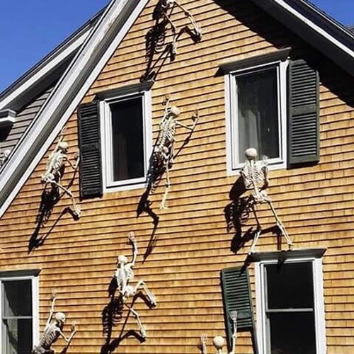 Halloween movable skeleton - halloween,