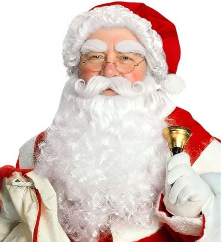 Deluxe santa claus - claus, wig