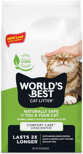 World best cat - cat, litter