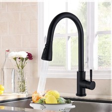 Matte Black Kitchen Faucet