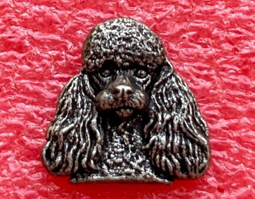 T36 pin poodle - poodle,