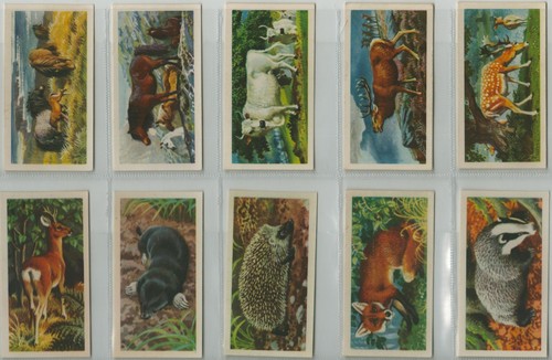 Full set cards - full, cards,