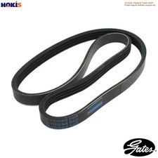 VRIBBED BELT 6PK1360 FOR FIAT