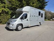 Fiat Ducato Horsebox