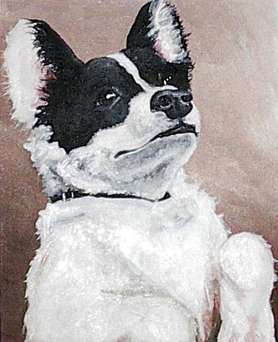 Papillon dog wall - dog,