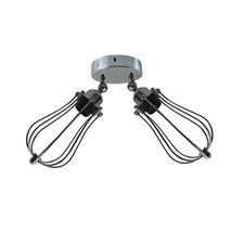 Ceiling 2 Light Modern