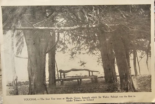 Vintage 1949 irish postcard - ​vintage,