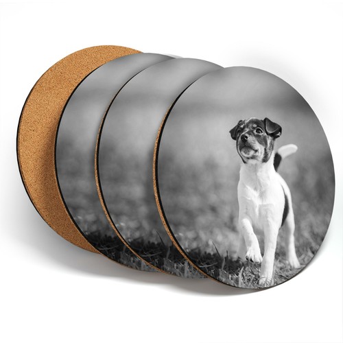 Coasters bw cute fox - 4, x