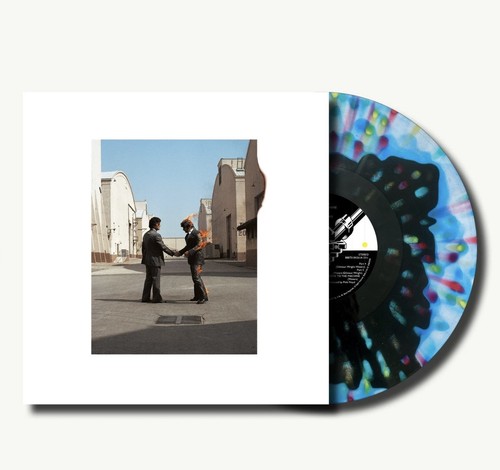 Pink floyd wish - -, were