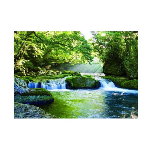 Fish tank landscape poster - tank,