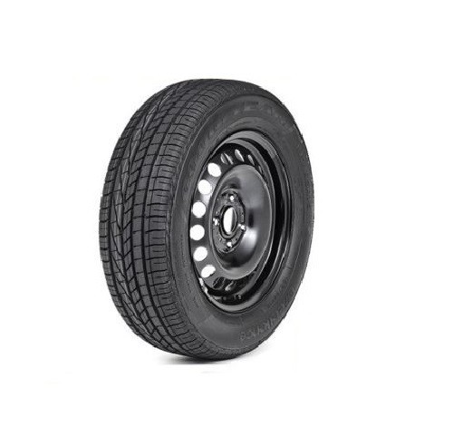 Full size spare - 15",
