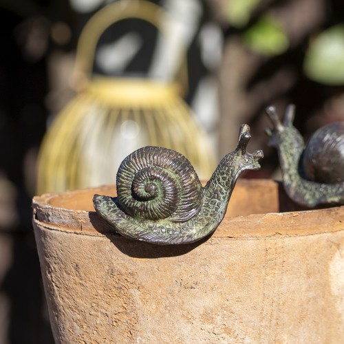 Set snail pot hangers - of,