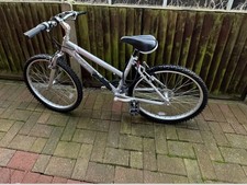 Raleigh Ladies Bike