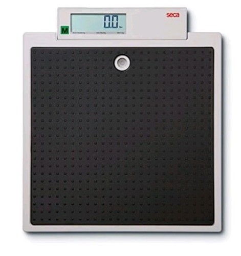 Seca 875 digital weighing - seca,
