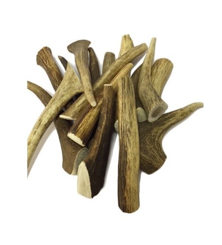 Antler dog chews stag - 2,