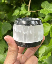 Beautiful Orthoceras Fossil