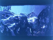 Aliens Vs Predator Requiem 35mm Movie Cell, Keyring, Rare, Wolf