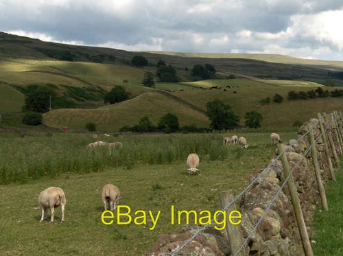 Photo 6x4 farmland scale - 6x4,