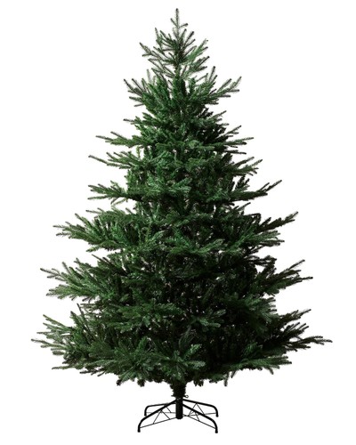 7ft northern fir - 7ft,