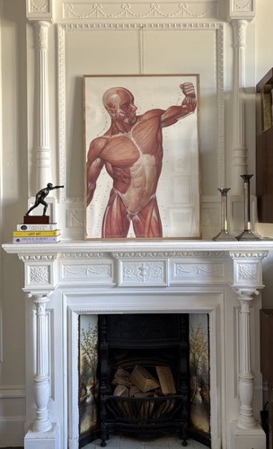 Large vintage anatomical - vintage,