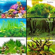 Fish Tank Background HD