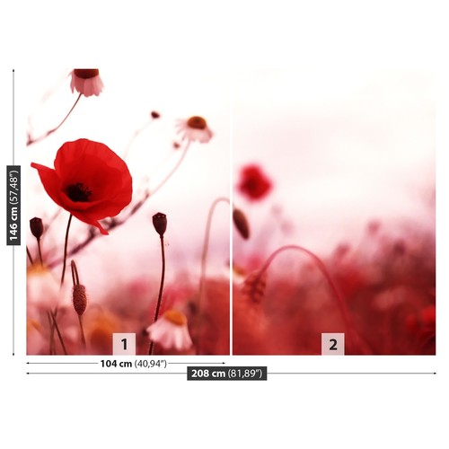 Photo wallpaper wall - photo, mural