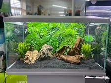 LARGE PLANTED AQUARIUM/REPTILE