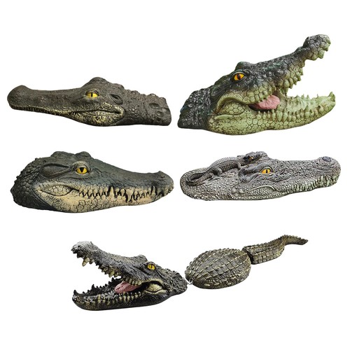 Floating crocodile head - crocodile,