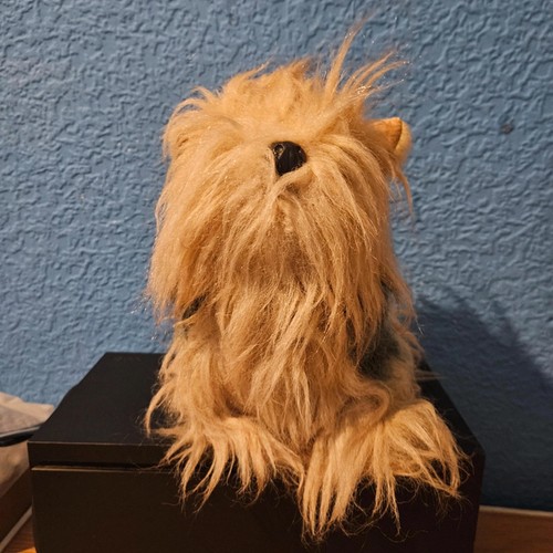 Yorkshire terrier show - yorkshire, toy