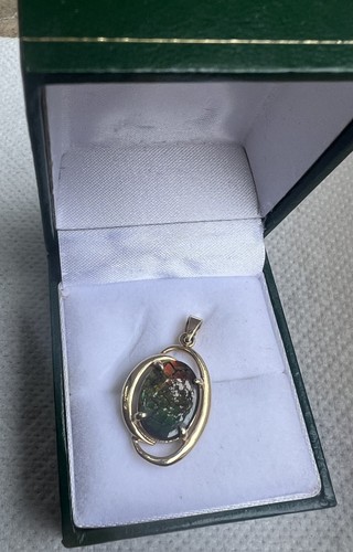 Gorgeous gold ammolite - ct,