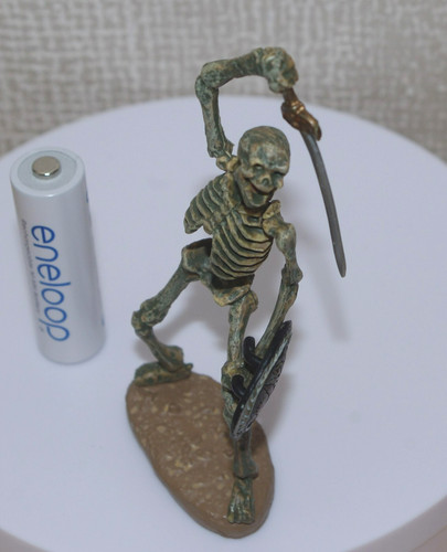 Skelton ray - a,