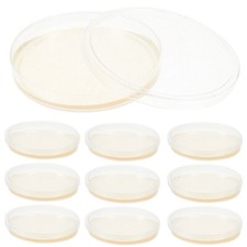10pcs Agar Plates Agar Petri Dishes Portable Prepoured Agar Petri Dishes