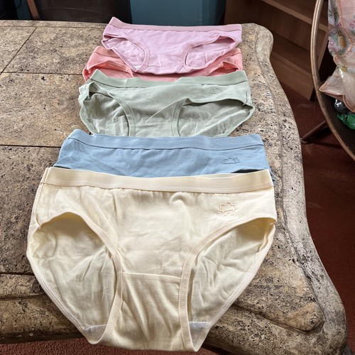 Ladies briefs pack 5 - ladies, of