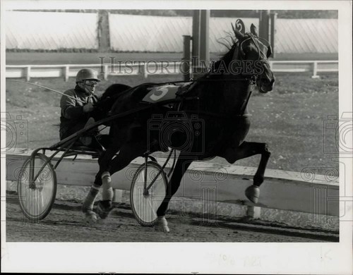 Press photo harness racer - press,