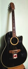 Ovation Applause Electro