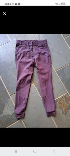 Ariat breeches 28l - breeches,