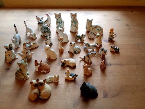 Large collection cat animals - collection,
