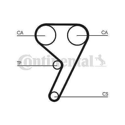 Timing belt set continental - belt,