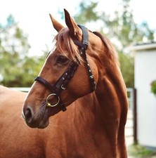 Mackey Equisential Nylon Bridle without Reins