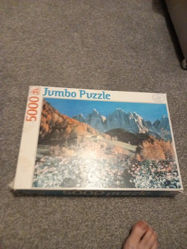 5000 piece jigsaw puzzle - ,