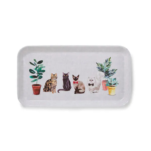 Cooksmart curious cats - cooksmart, small